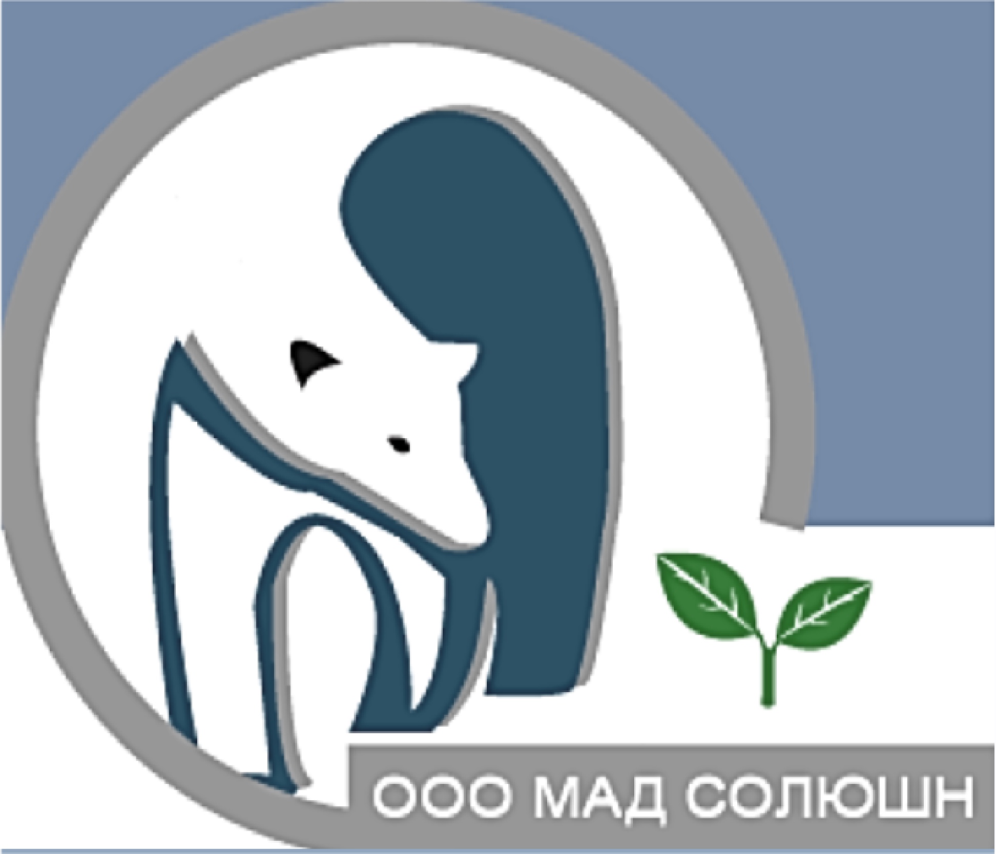 МАД СОЛЮШН